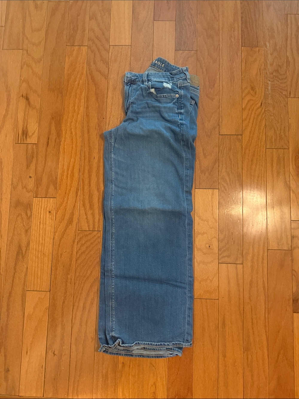American Eagle Outfitters Low-Rise Baggy Wide Leg
